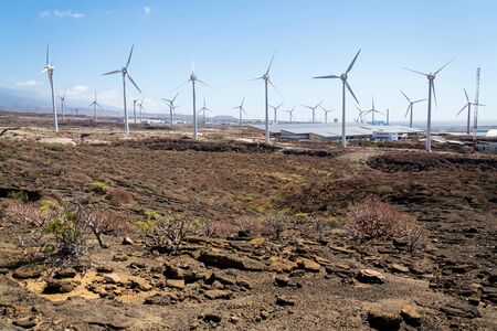 White turbines at wind farm with power station and sea in background, arid landscape on sunny summer day, sustainable renewable electricity conceptの写真素材