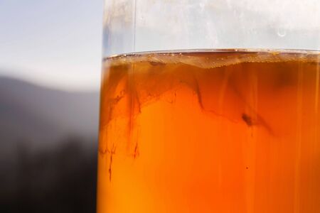 Kombucha natural fermented tea in glass jar, healthy drink of asian original