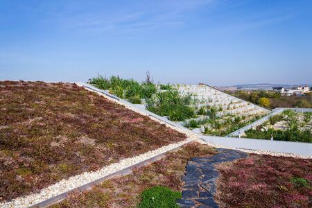 Root zone waste water sewage treatment plant on the extensive green ecological living sod roof の写真素材