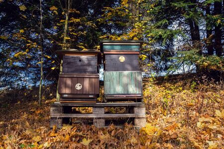 Colorful wooden beehives in beatiful autumn nature, sunny dayの写真素材