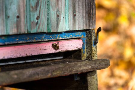 Colorful wooden beehives in beatiful autumn nature, sunny dayの写真素材