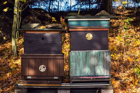 Colorful wooden beehives in beatiful autumn nature, sunny dayの写真素材