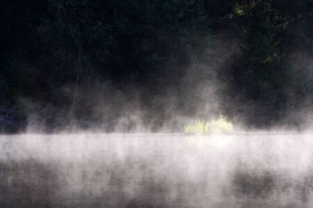 Morning haze over surface of the Pohorsky pond know as Jiricka reservoir near Pohorska Ves, Novohradske Mountains, Cesky Krumlov District, South Bohemian Region, Czech Repubic, sunny summer dayの写真素材