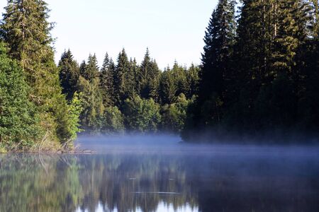 Morning haze over surface of the Pohorsky pond know as Jiricka reservoir near Pohorska Ves, Novohradske Mountains, Cesky Krumlov District, South Bohemian Region, Czech Repubic, sunny summer dayの写真素材
