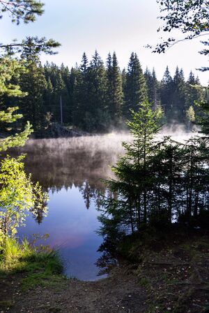 Morning haze over surface of the Pohorsky pond know as Jiricka reservoir near Pohorska Ves, Novohradske Mountains, Cesky Krumlov District, South Bohemian Region, Czech Repubic, sunny summer dayの写真素材