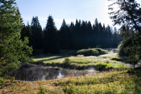 Morning haze over surface of the Pohorsky pond know as Jiricka reservoir near Pohorska Ves, Novohradske Mountains, Cesky Krumlov District, South Bohemian Region, Czech Repubic, sunny summer dayの写真素材
