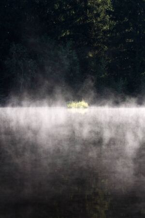 Morning haze over surface of the Pohorsky pond know as Jiricka reservoir near Pohorska Ves, Novohradske Mountains, Cesky Krumlov District, South Bohemian Region, Czech Repubic, sunny summer dayの写真素材