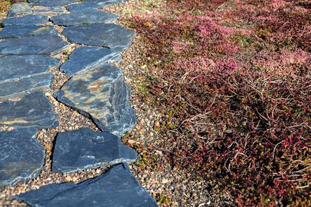 Rustic natural spaced-out stones garden path walkway with vegetation used on extensive green living roofの写真素材