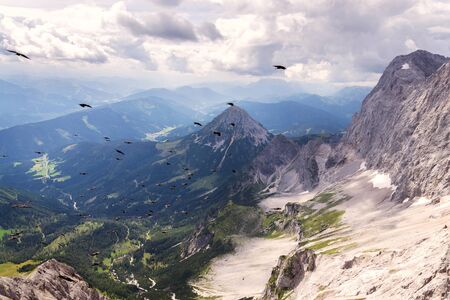 Flock of alpine chough birds flying over Dachstein glacier near Hunerkogel mountain car station, Austrian Alpsの写真素材