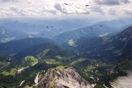 Flock of alpine chough birds flying over Dachstein glacier near Hunerkogel mountain car station, Austrian Alpsの写真素材