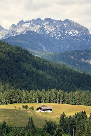 Isolated traditional house in a meadow in the middle of the woods in Austrian Alps, loneliness and quarantine concept, sunny summer dayの写真素材