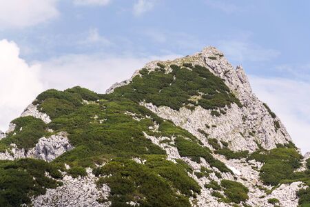 Strichkogel mountain summit between Grosser Donnerkogel and Angerstein in Alps, Gosau, Gmunden district, Upper Austria federal state, sunny summer day, clear blue skyの写真素材