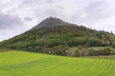 Green mixed forest on Milesovka, highest mountain of Ceske stredohori with lookout tower and meteorological station and observatory, Czech Republicの写真素材