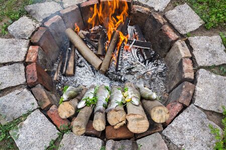 Trouts filled with herbs, seasoning and lemon wired on sticks lying on the edge of fire, outdoors camping survivalの写真素材