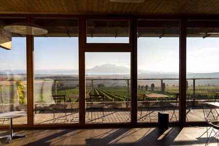 Beutiful green vineyard with Devin and Palava mountains in background on banks of Nove Mlyny water reservoir near Pavlov, South Moravia, Czech Republic, sunny summer dayの写真素材