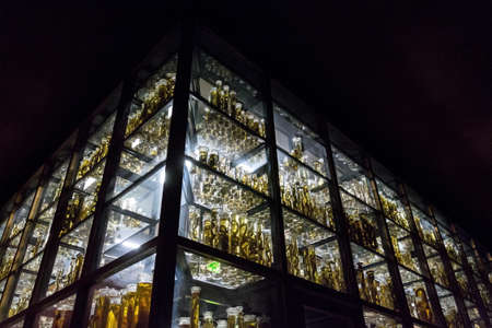 Shelves with various animals preserved in formaldehyde solutionのeditorial素材