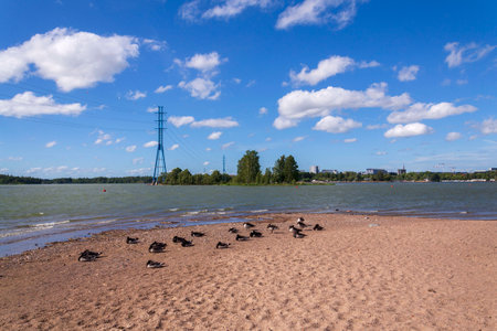 Hietaniemi sand beach in central Helsinki, Finland, sunny summer dayの写真素材