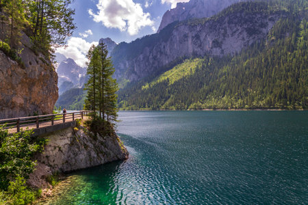 Beautiful nature on the shores of the Vorderer Gosausee lake near Gosau, Austria, sunny summer dayの写真素材