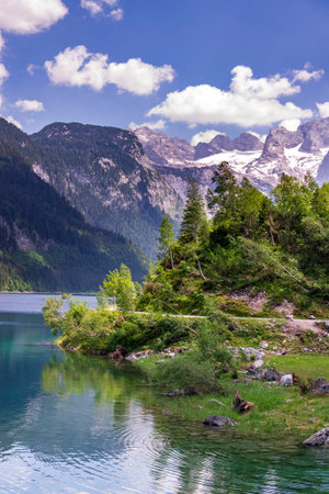 Beautiful nature on the shores of the Vorderer Gosausee lake near Gosau, Austria, sunny summer dayの写真素材