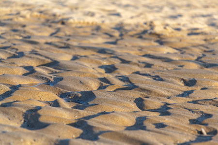 Water disappearing in sand on the beachの写真素材