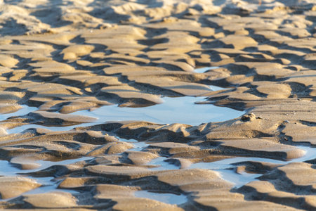 Water disappearing in sand on the beachの写真素材