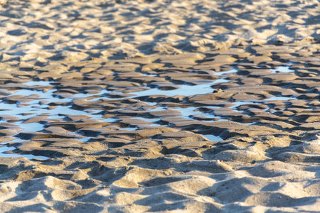 Water disappearing in sand on the beachの写真素材