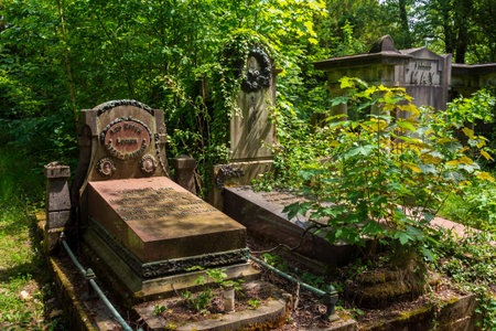 Abandoned Dieweg cemetery overtaken by nature in Brussels, Belgium, sunny dayの写真素材