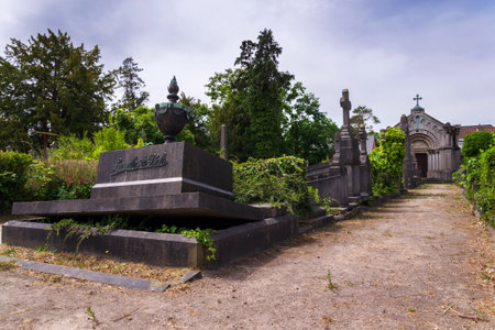 Abandoned Dieweg cemetery overtaken by nature in Brussels, Belgium, sunny dayの写真素材