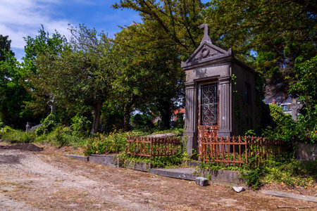 Abandoned Dieweg cemetery overtaken by nature in Brussels, Belgium, sunny dayの写真素材