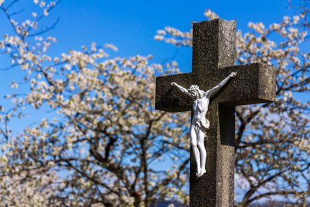 Beautiful Jesus Christ on crucifix, spring Easter budding tree flowers in background, cemetery on a sunny day, new life and religion conceptの写真素材