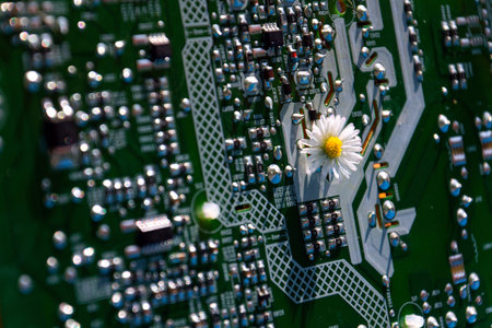 A daisy growing through a computer motherboard, energy consumption by artificial intelligence concept, environmental impactsの写真素材