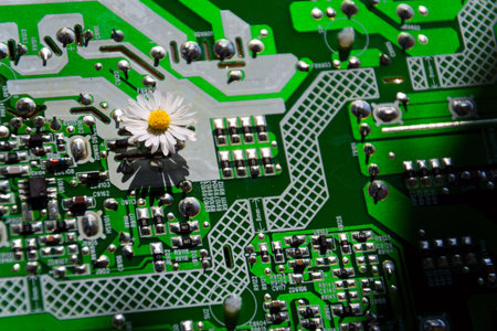 A daisy growing through a computer motherboard, energy consumption by artificial intelligence concept, environmental impactsの写真素材