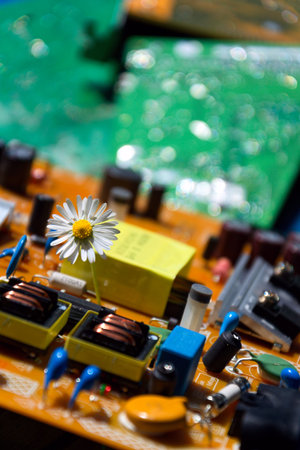 A daisy growing through a computer motherboard, energy consumption by artificial intelligence...