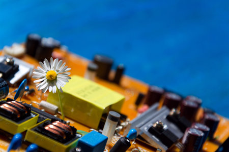 A daisy growing through a computer motherboard, energy consumption by artificial intelligence...