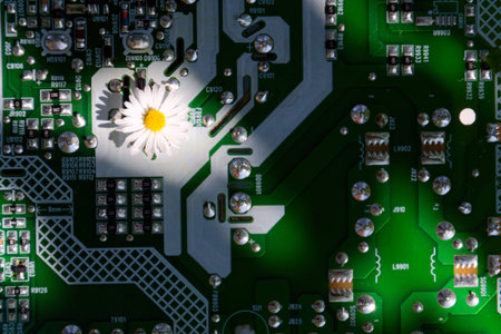 A daisy growing through a computer motherboard, energy consumption by artificial intelligence concept, environmental impactsの写真素材