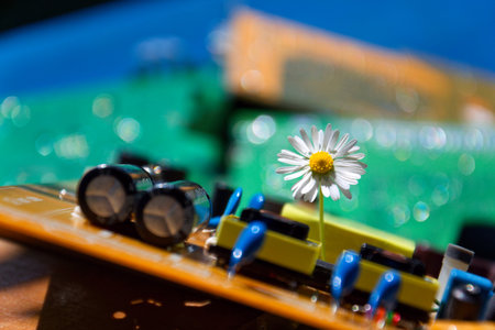 A daisy growing through a computer motherboard, energy consumption by artificial intelligence concept, environmental impactsの写真素材