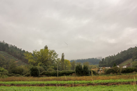 misty day in an autumn afternoonの写真素材