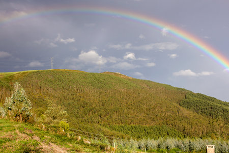 rainbow in Galicia, Spain, in an autumn eveningの写真素材