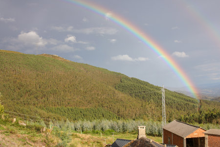 rainbow in the mountains on a rainy dayの写真素材