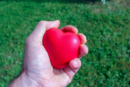 squeezing a foam, red heart with one hand to relaxの写真素材