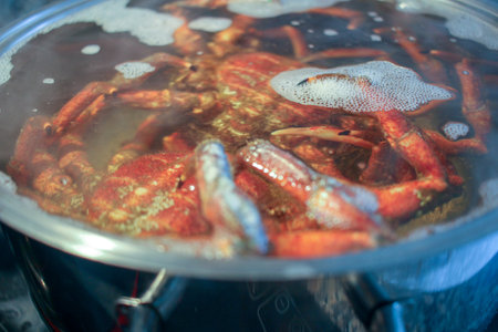 Hot pot with crabs starting to cookの写真素材