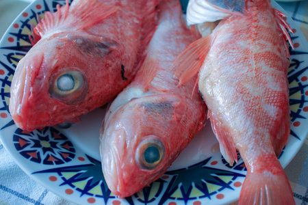 three clean red breams ready for cookingの写真素材