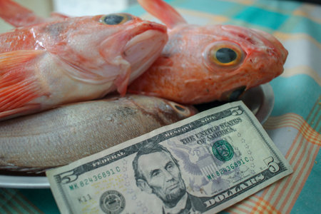 five dollar note and fish