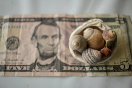 seashells on a five dollar bank note.の写真素材