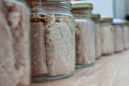 white tuna or bonito preserved in a traditional way in Burela, Spainの写真素材