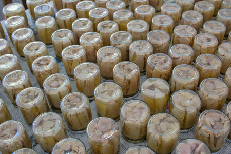 Olive Oil Preservation Born from Tradition in Burela, Spainの写真素材