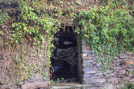 Deserted field house under warm sun in Galicia, Spainの写真素材
