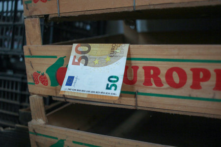 Symbolic shot of an empty wooden produce box containing only a 50 Euro bill. Represents the struggle of families to afford fresh food, rising supermarket prices, and household budgeting challenges.の写真素材