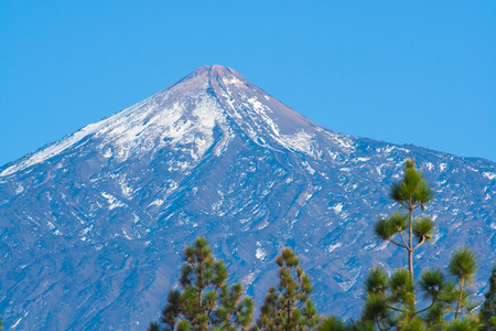 Pico del Teide mountain top with pine trees, Tenerife, Spainの写真素材