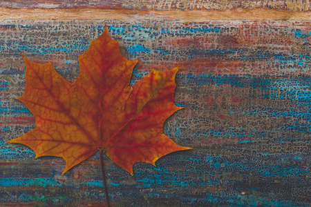 vintage autumn leaves with patina backgroundの写真素材